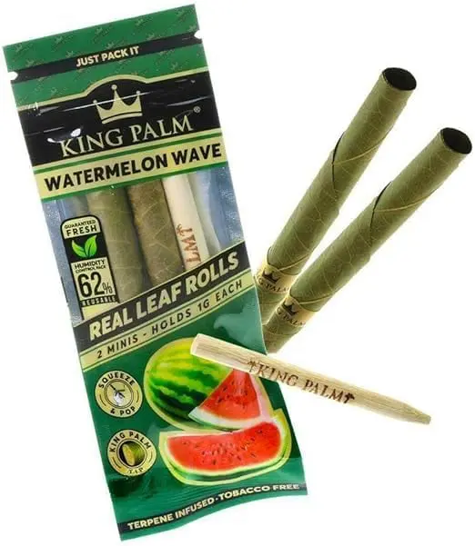 King Palm 18