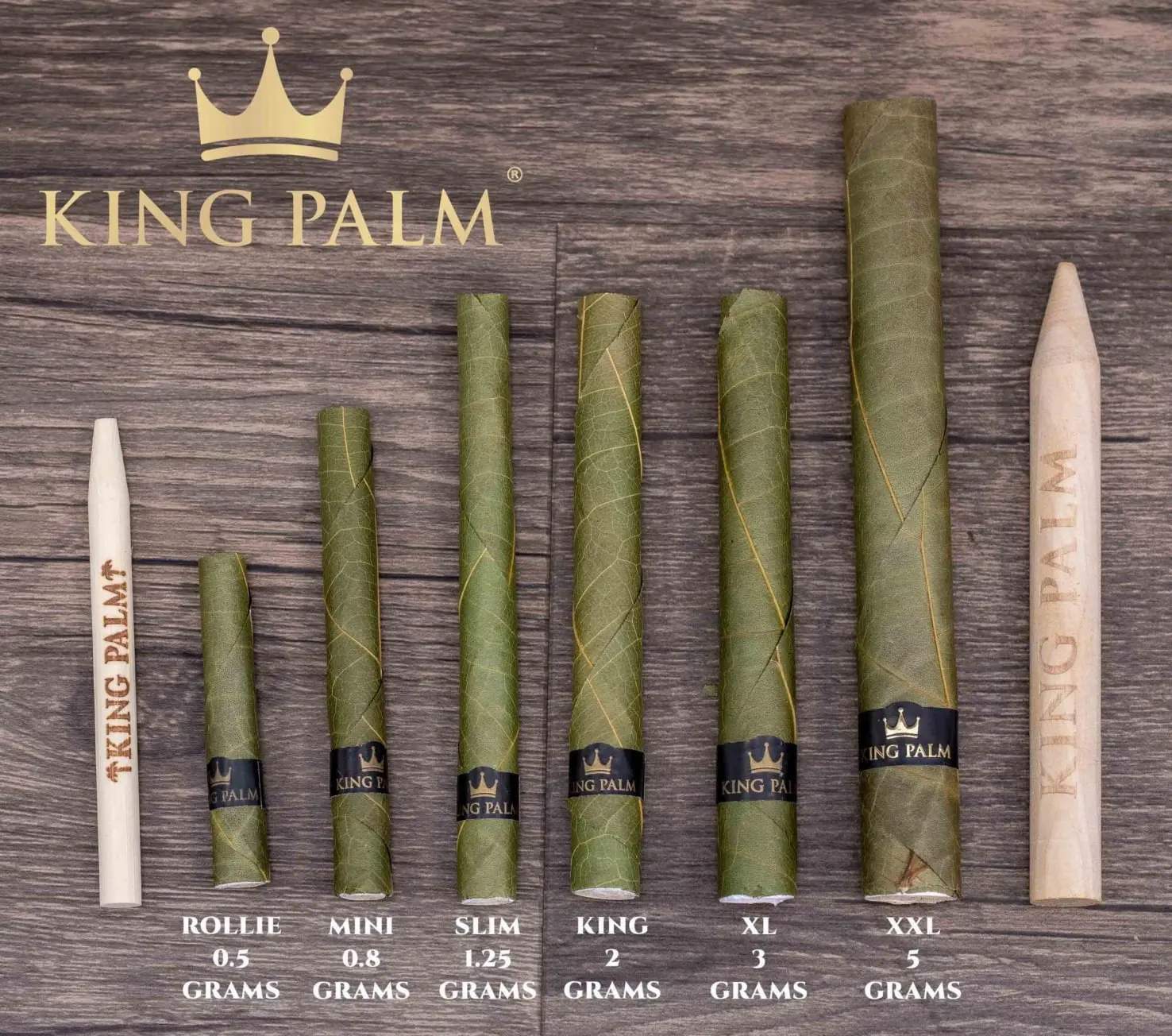 King Palm 7